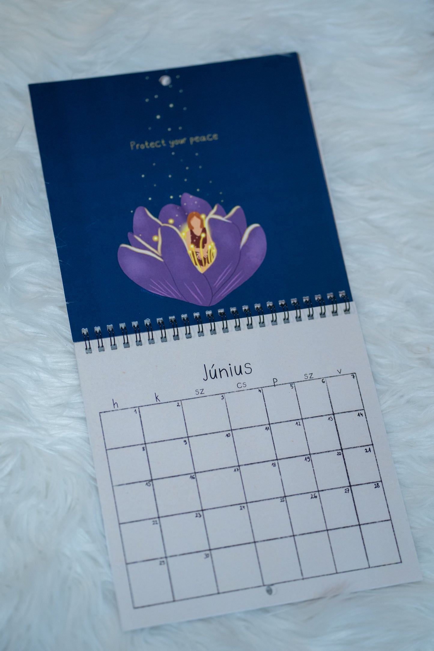 Illusztrált 2026-os Drawsy Minimal fali naptár